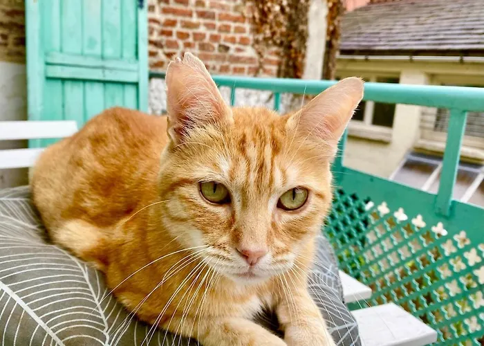 De 2 Pieces Avec Balcon Centre *